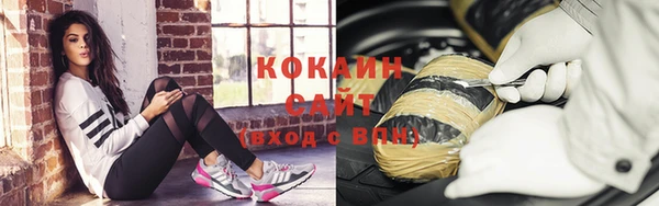 прущие грибы Аркадак