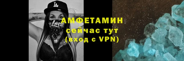 прущие грибы Аркадак