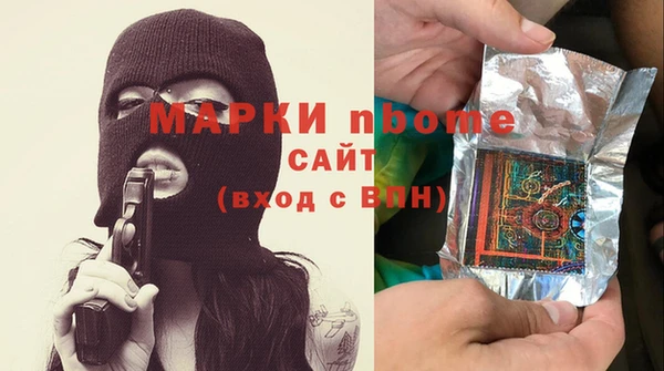 прущие грибы Аркадак