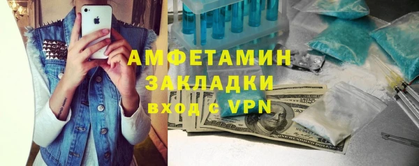 прущие грибы Аркадак
