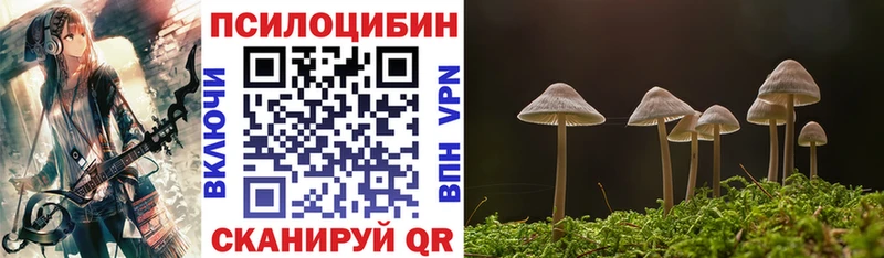 купить наркотик  Карабаново  Галлюциногенные грибы GOLDEN TEACHER 